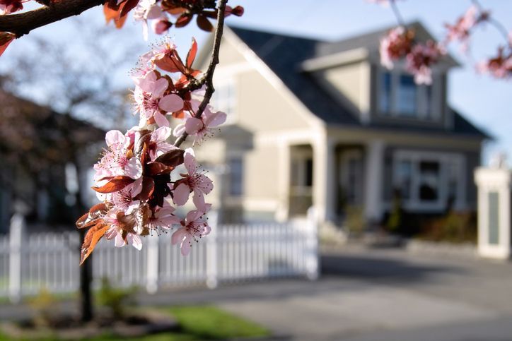 L’entretien de la maison au printemps.